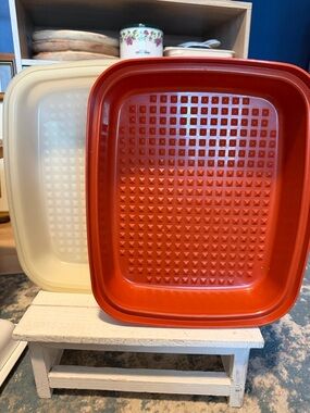Vintage Tupperware Large Season-Serve Marinade
Container 1294 Paprika Red
